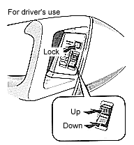 Power Window Switch (Passenger - Drivers Use)